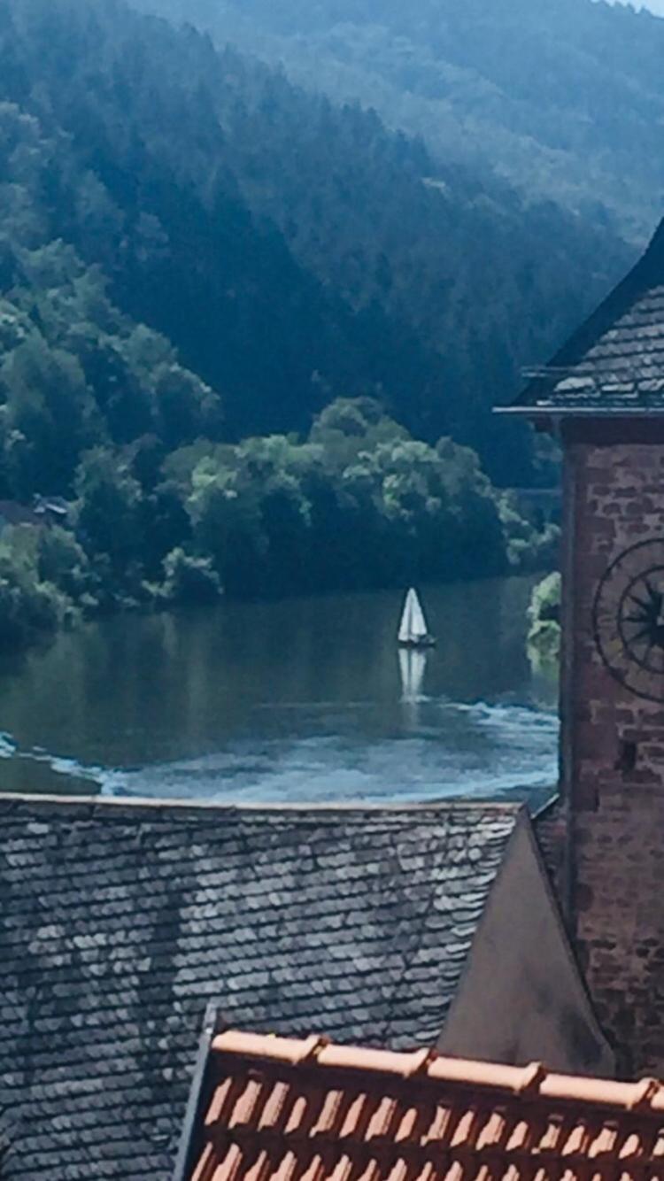 Natur Und Neckarblick Bei Heidelberg Hirschhorn Eksteriør bilde