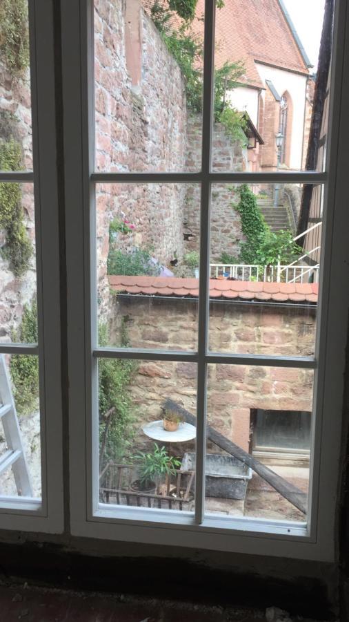 Natur Und Neckarblick Bei Heidelberg Hirschhorn Eksteriør bilde