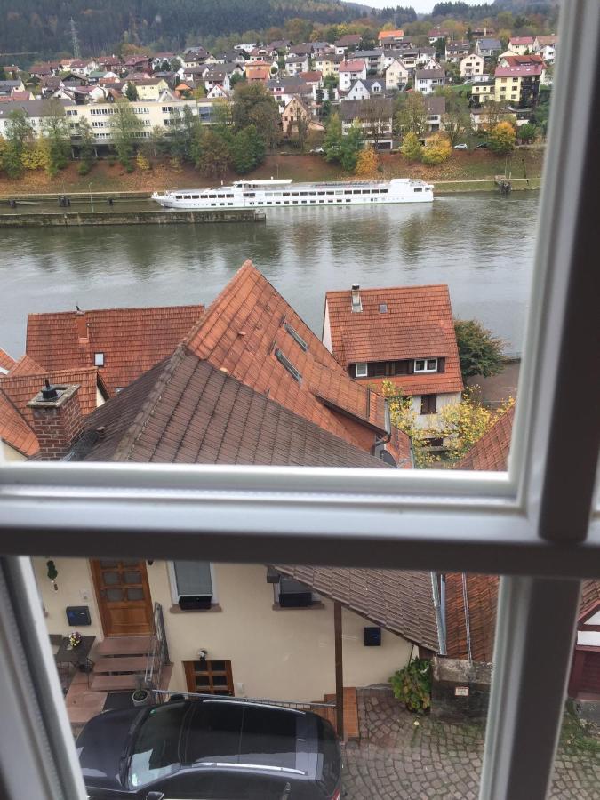 Natur Und Neckarblick Bei Heidelberg Hirschhorn Eksteriør bilde