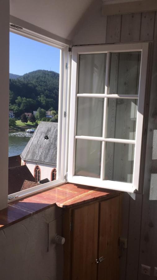 Natur Und Neckarblick Bei Heidelberg Hirschhorn Eksteriør bilde