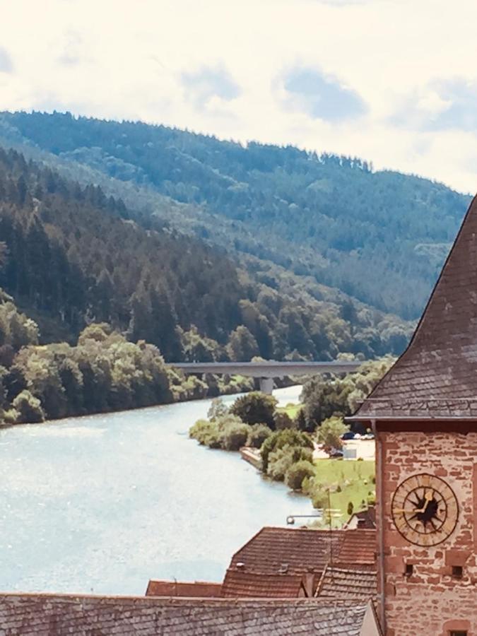 Natur Und Neckarblick Bei Heidelberg Hirschhorn Eksteriør bilde