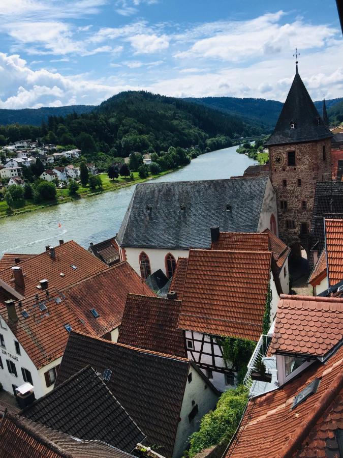 Natur Und Neckarblick Bei Heidelberg Hirschhorn Eksteriør bilde