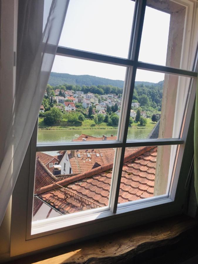 Natur Und Neckarblick Bei Heidelberg Hirschhorn Eksteriør bilde