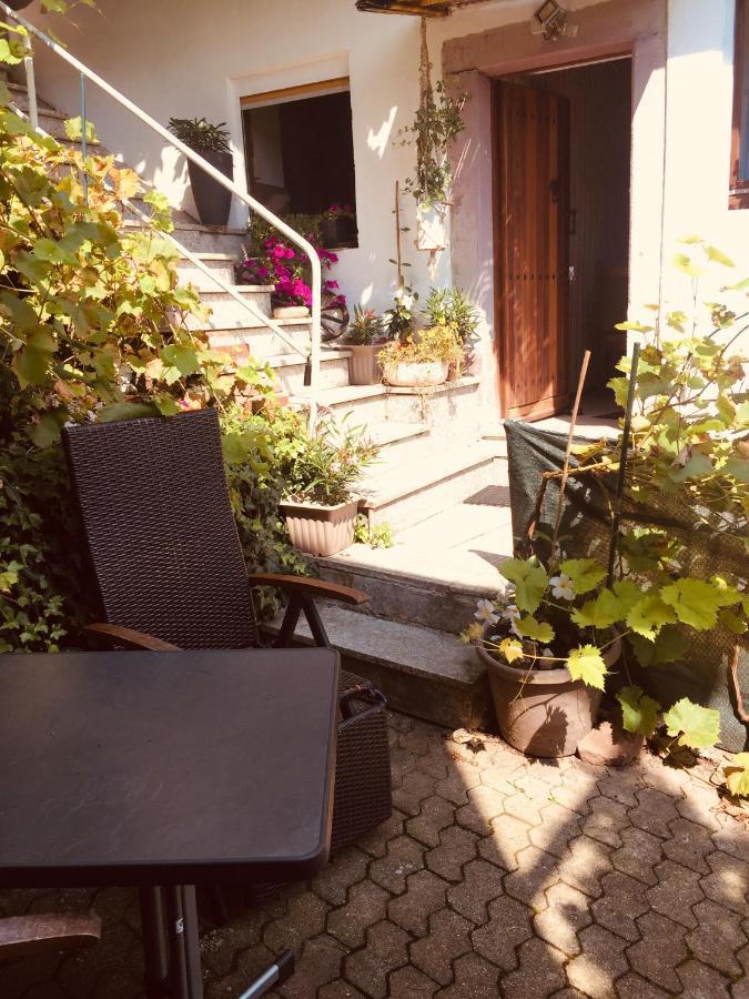 Natur Und Neckarblick Bei Heidelberg Hirschhorn Eksteriør bilde
