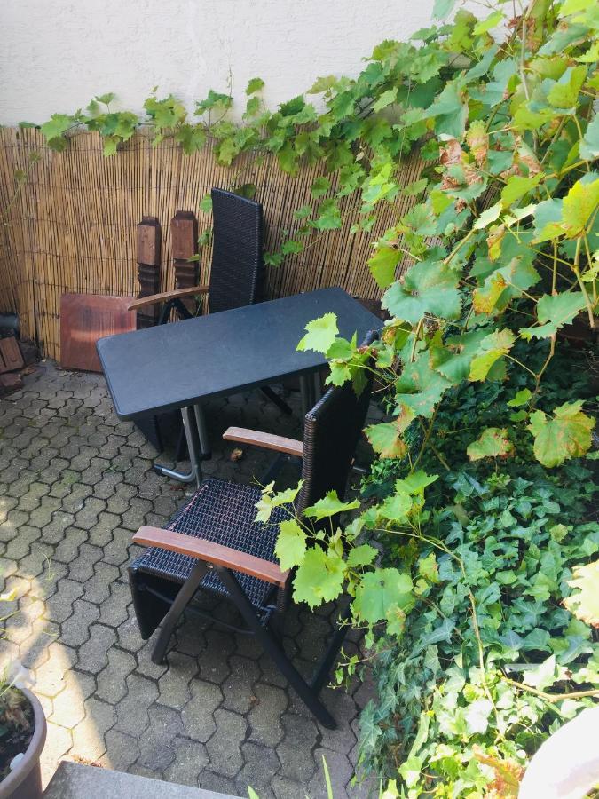 Natur Und Neckarblick Bei Heidelberg Hirschhorn Eksteriør bilde