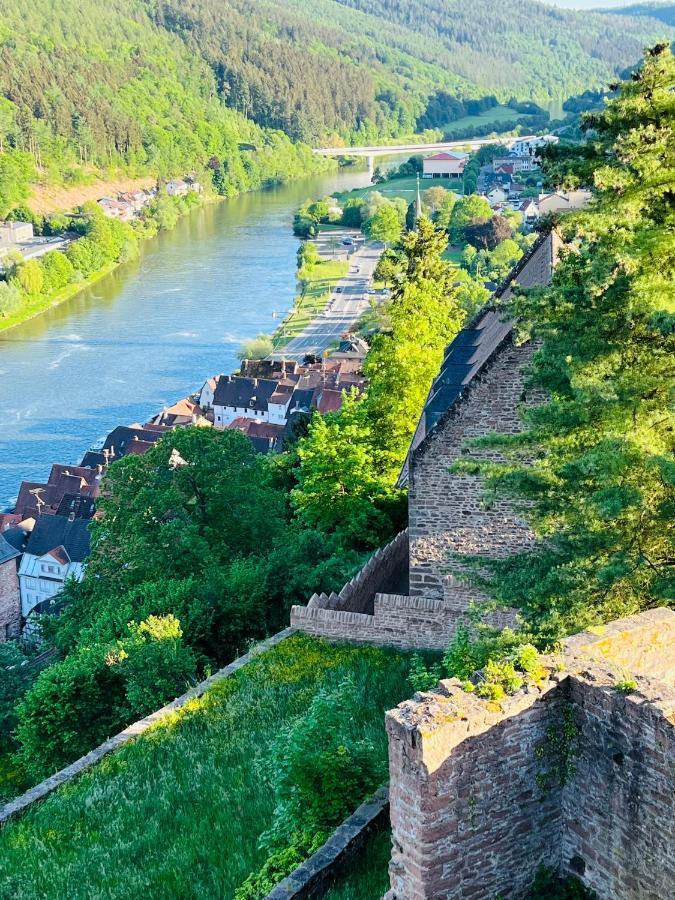 Natur Und Neckarblick Bei Heidelberg Hirschhorn Eksteriør bilde
