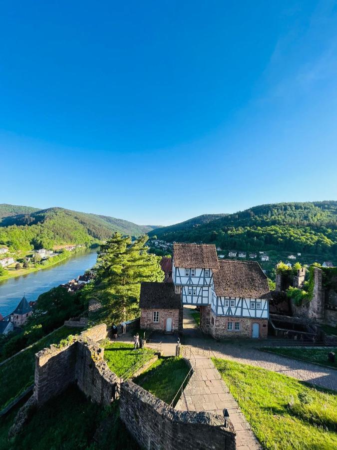 Natur Und Neckarblick Bei Heidelberg Hirschhorn Eksteriør bilde