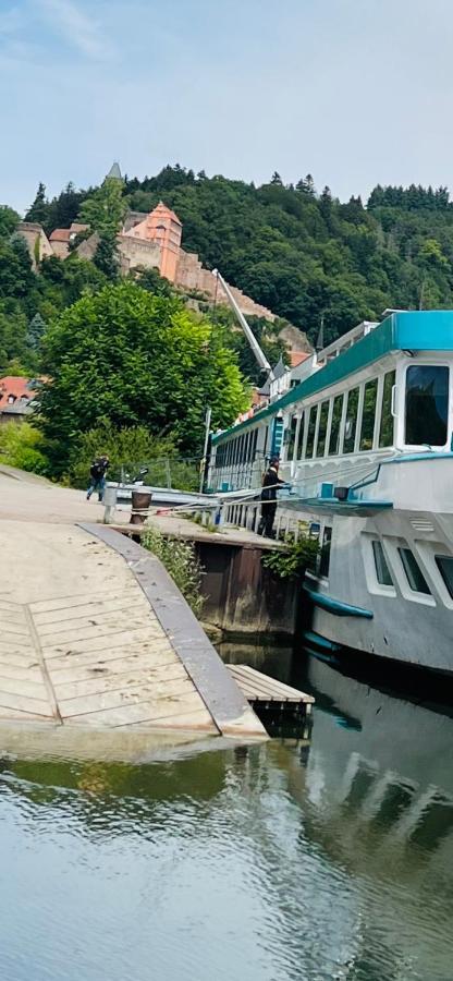 Natur Und Neckarblick Bei Heidelberg Hirschhorn Eksteriør bilde
