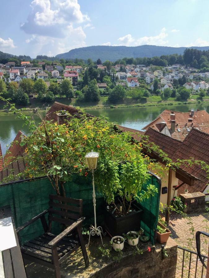 Natur Und Neckarblick Bei Heidelberg Hirschhorn Eksteriør bilde