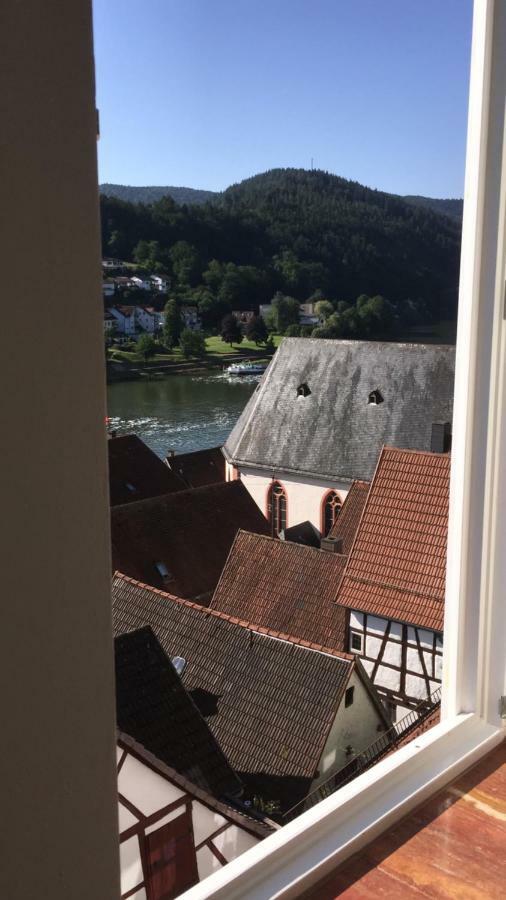 Natur Und Neckarblick Bei Heidelberg Hirschhorn Eksteriør bilde