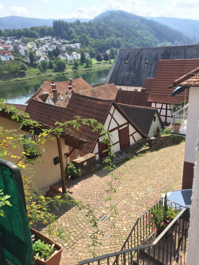 Natur Und Neckarblick Bei Heidelberg Hirschhorn Eksteriør bilde