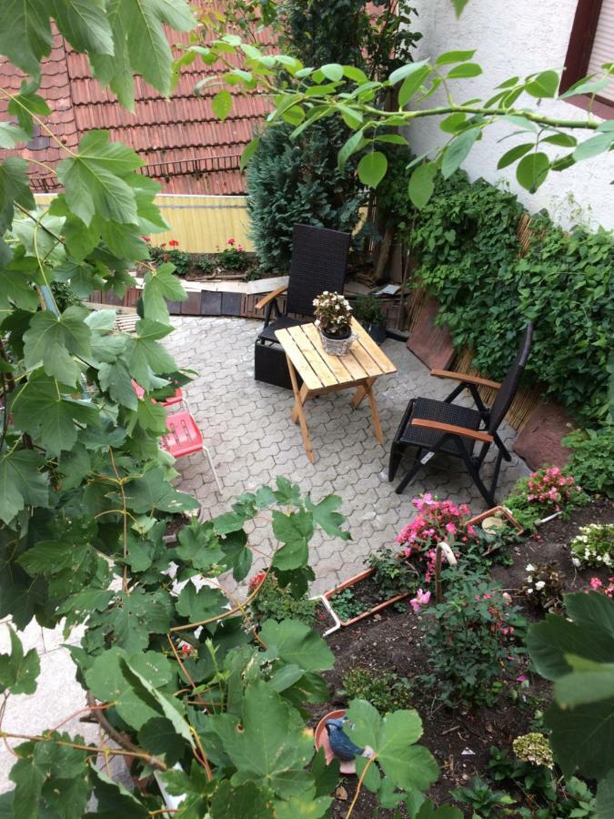 Natur Und Neckarblick Bei Heidelberg Hirschhorn Eksteriør bilde